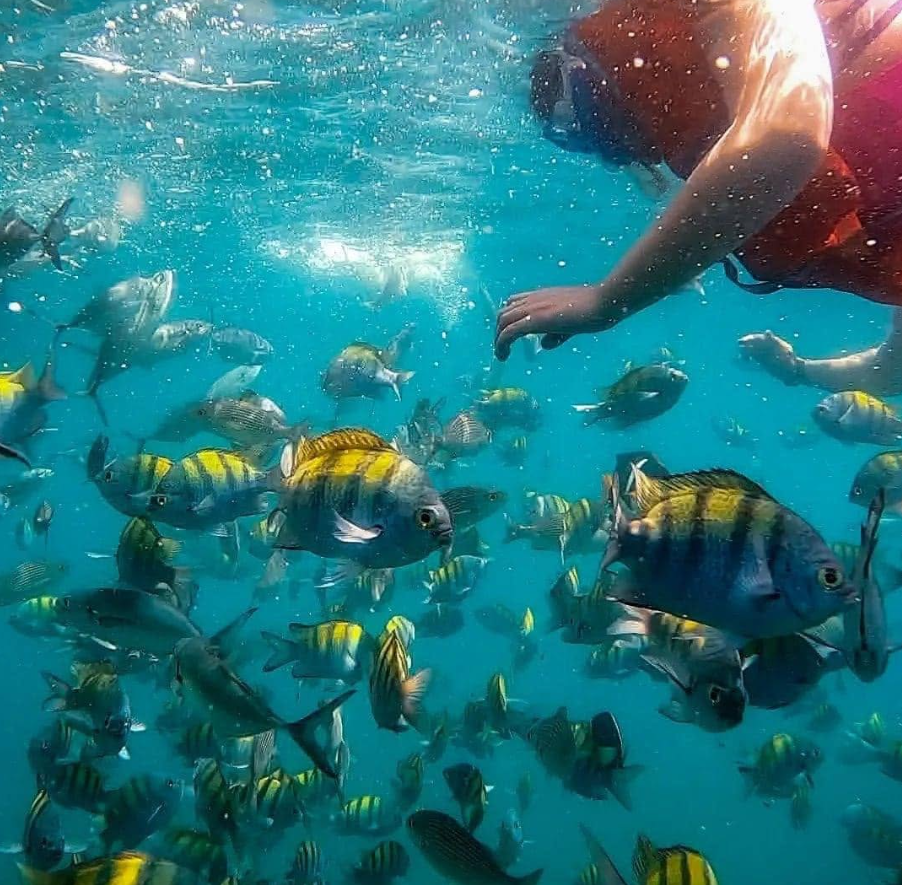 Mar y aventura con snorkeling